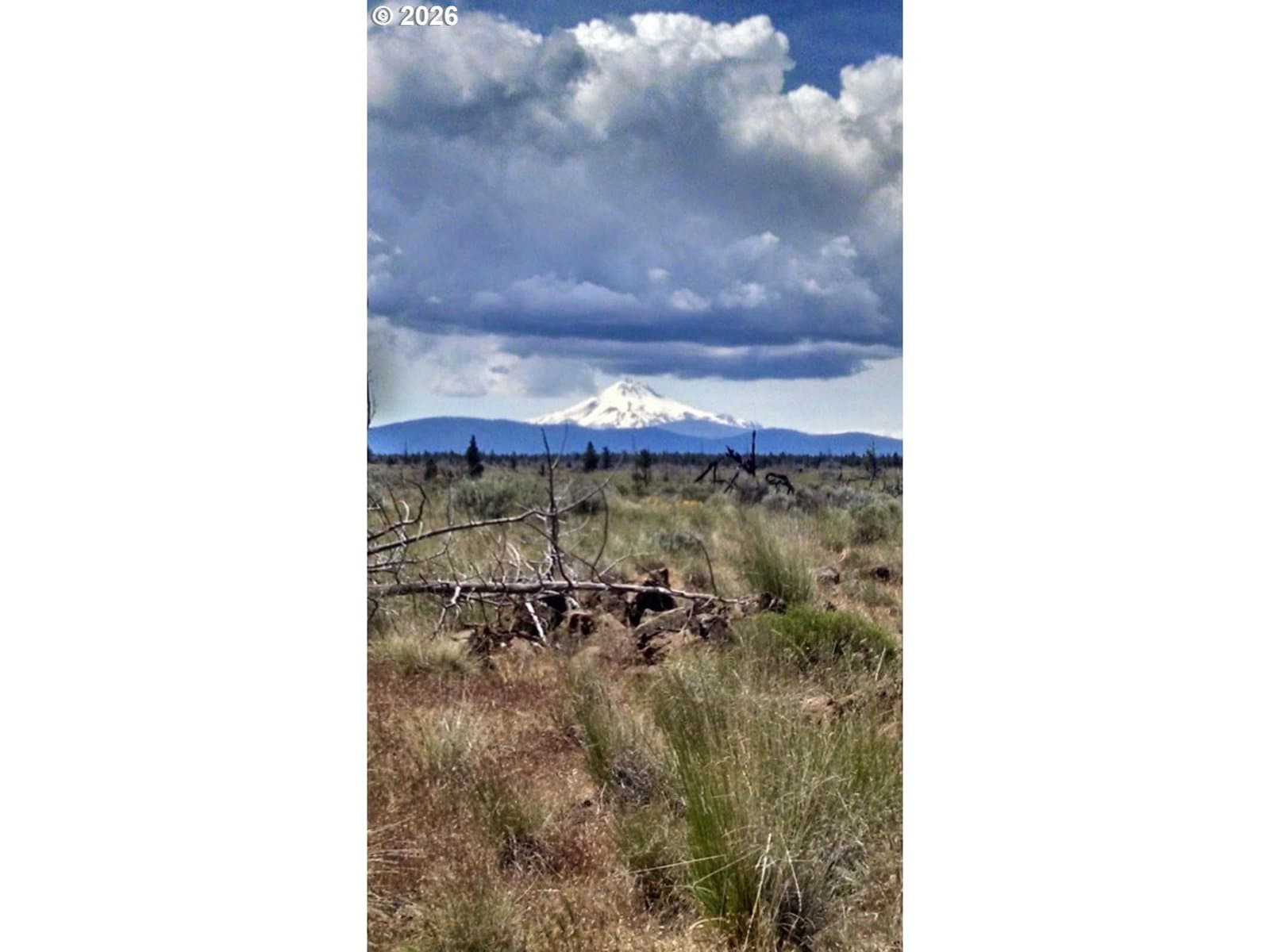 Listing photo 1 of 1