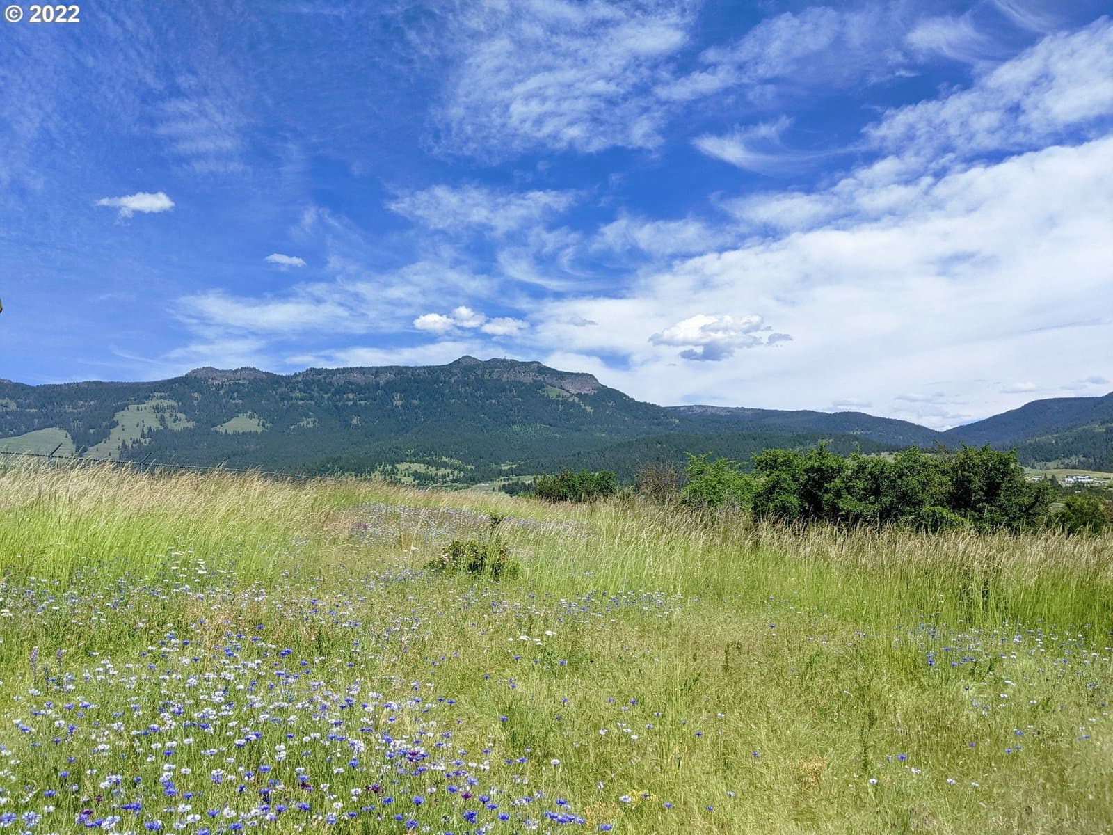 Listing photo 1 of 4