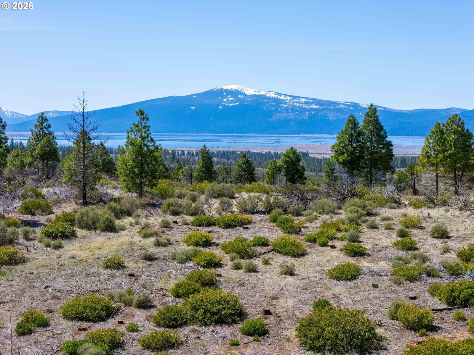 Listing photo 1 of 6