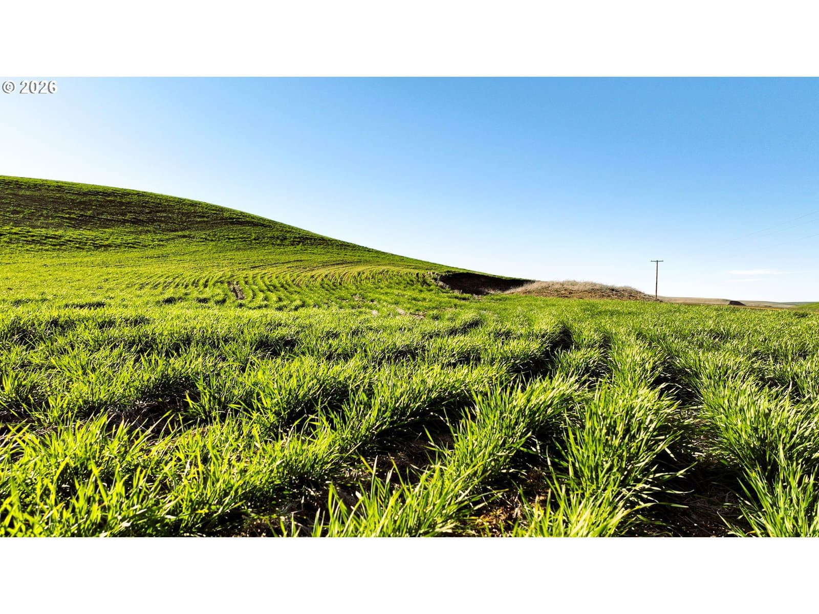 Listing photo 1 of 4