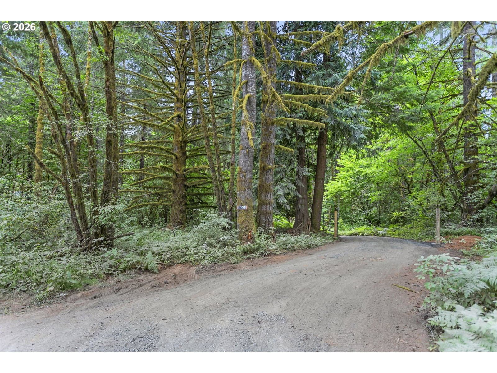 Listing photo 1 of 6