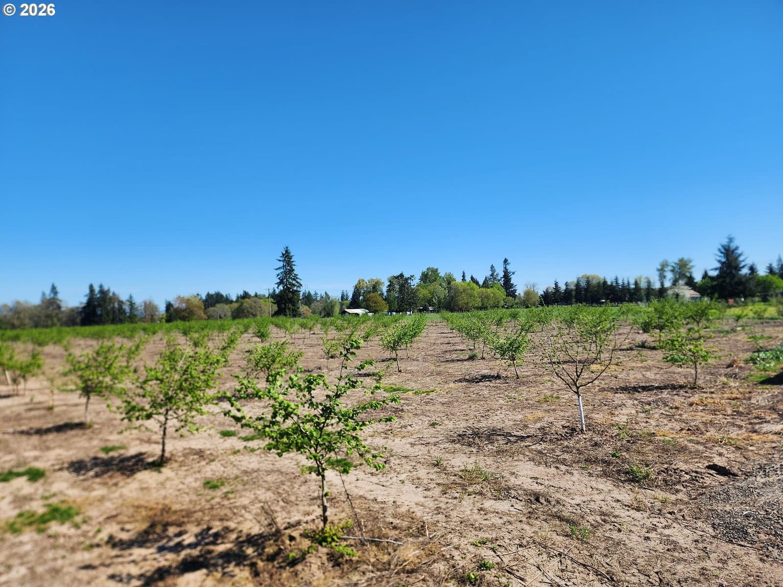 Listing photo 1 of 6