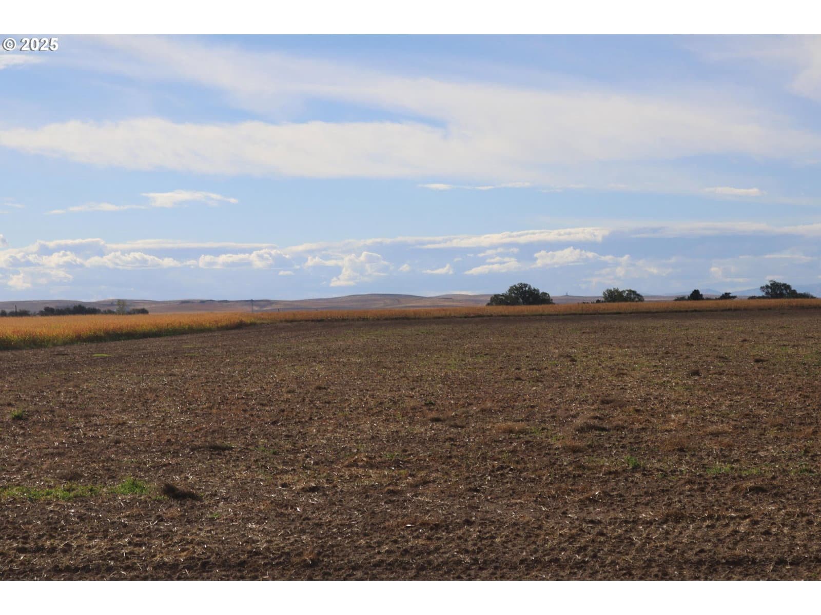 Listing photo 1 of 6