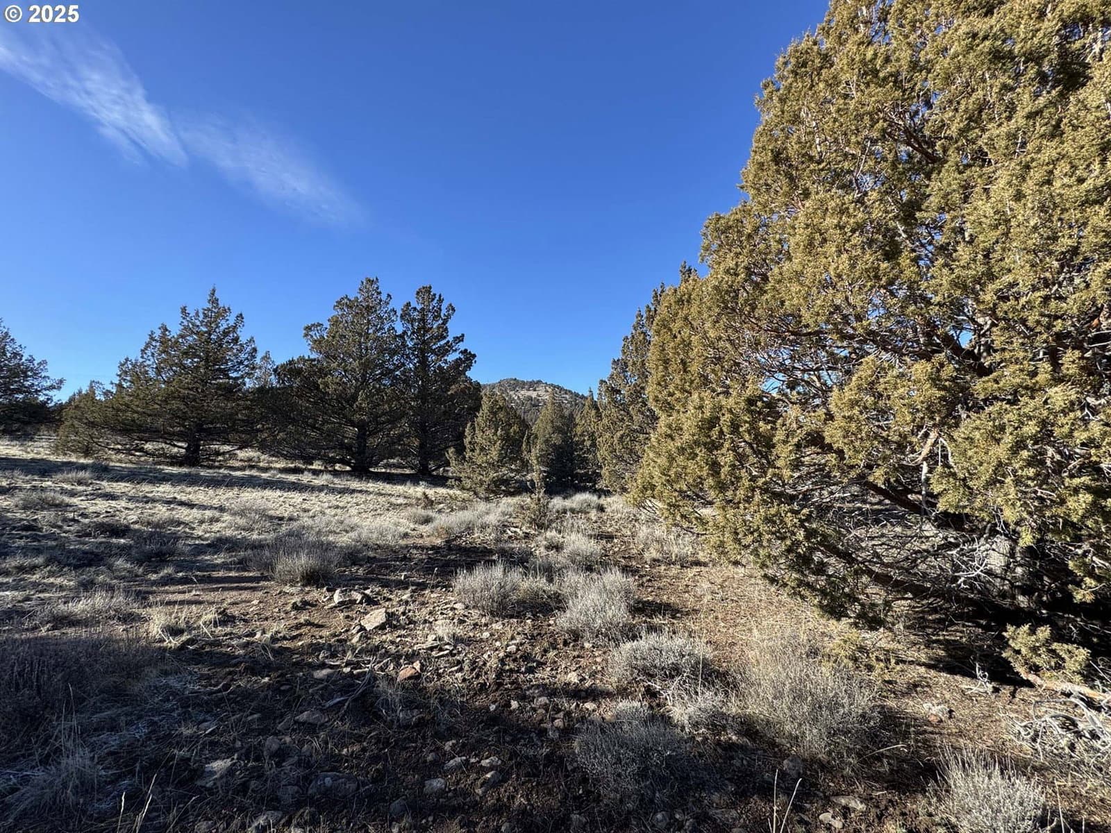 Listing photo 1 of 6