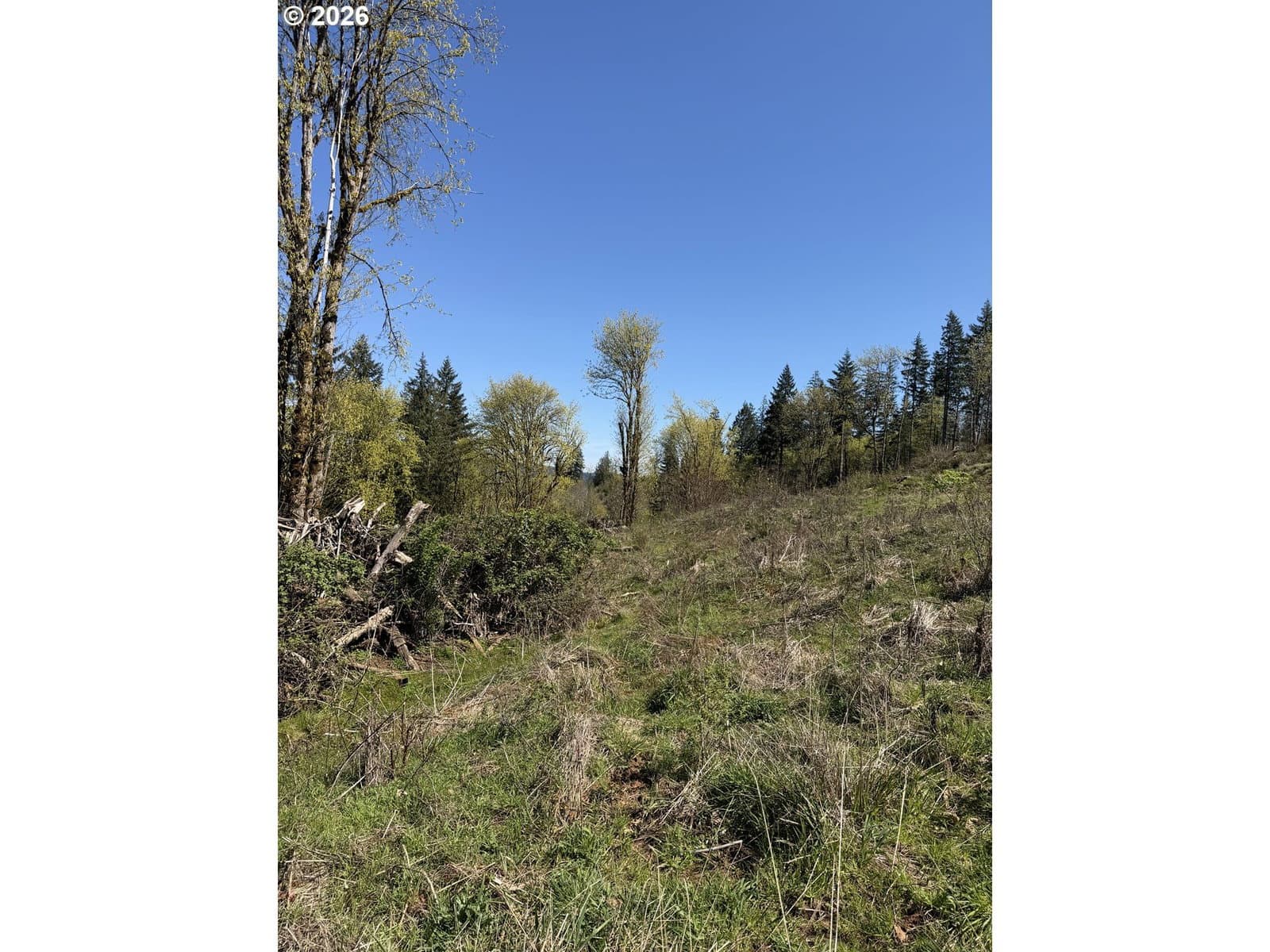 Listing photo 1 of 2