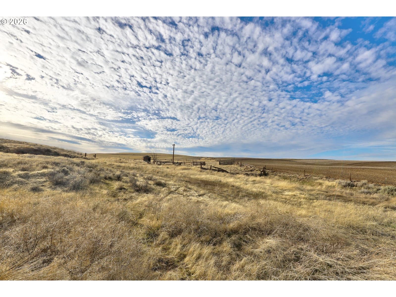 Listing photo 1 of 6