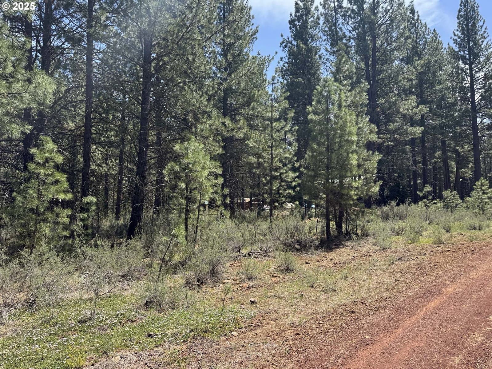 Listing photo 1 of 6